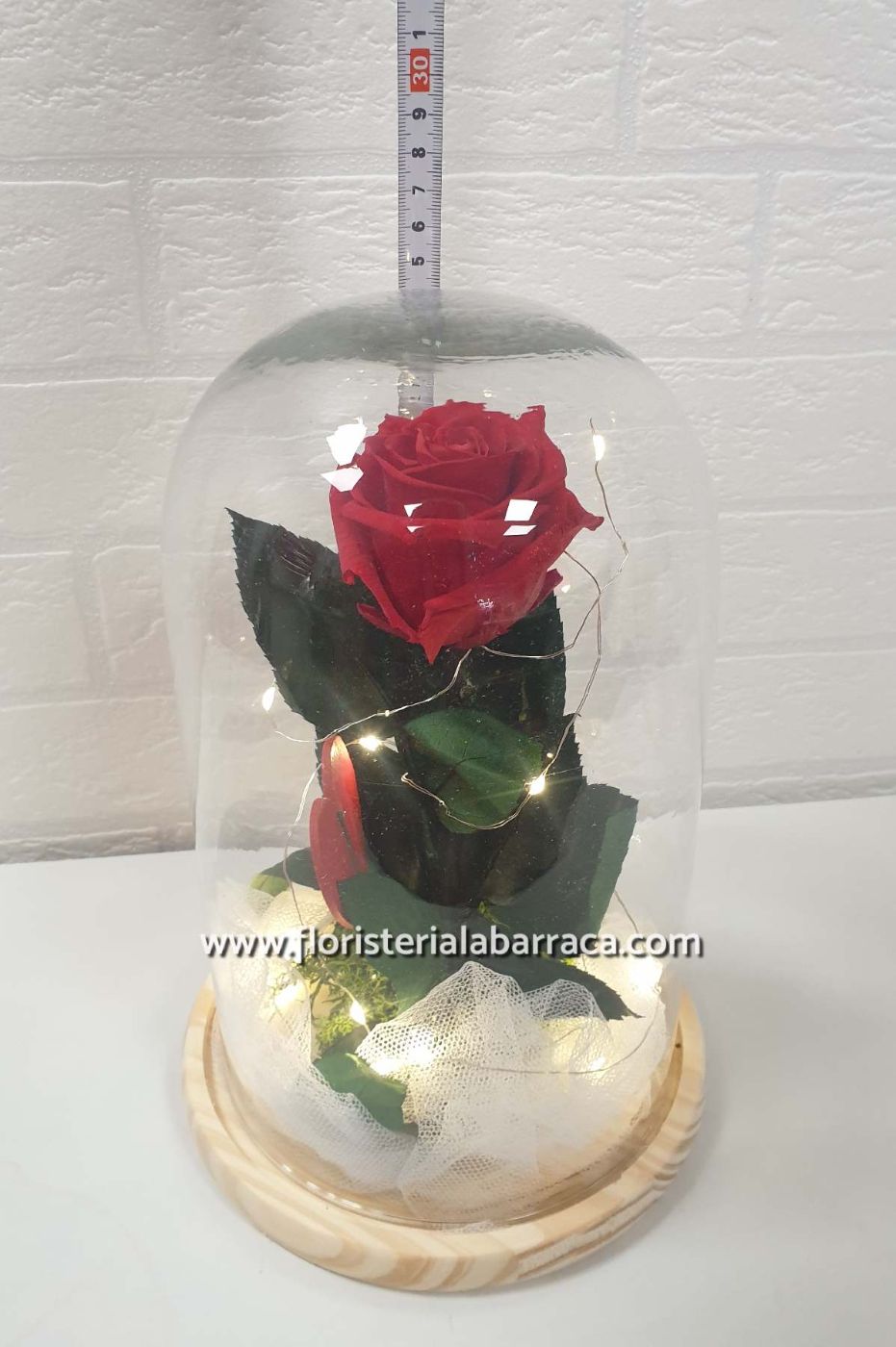 ROSAS PRESERVADAS